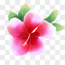 花朵pngaiepsaipsd全部格式近期上传热门下载综合排序其它卡通手绘