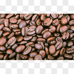 可可豆咖啡豆摄影图