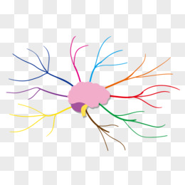 彩色放射线状大脑思维分析导图