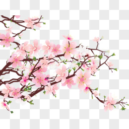 春天风景粉色桃花树枝植物