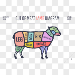 矢量彩色羊分割