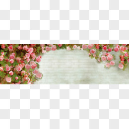 春天粉色玫瑰花丛