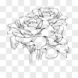 手绘花卉玫瑰花线稿免抠元素