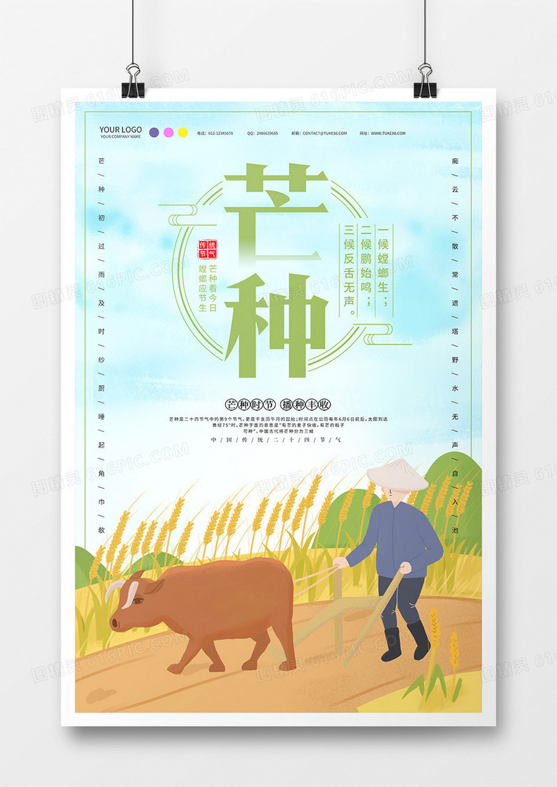 手绘插画背景二十四节气之芒种海报