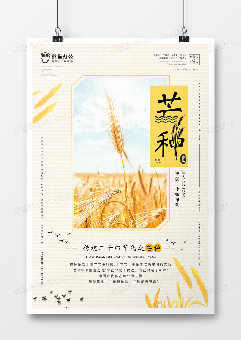 芒种海报模板设计