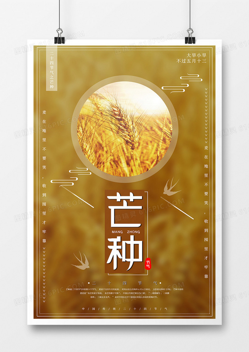 传统二十四节气芒种简约海报
