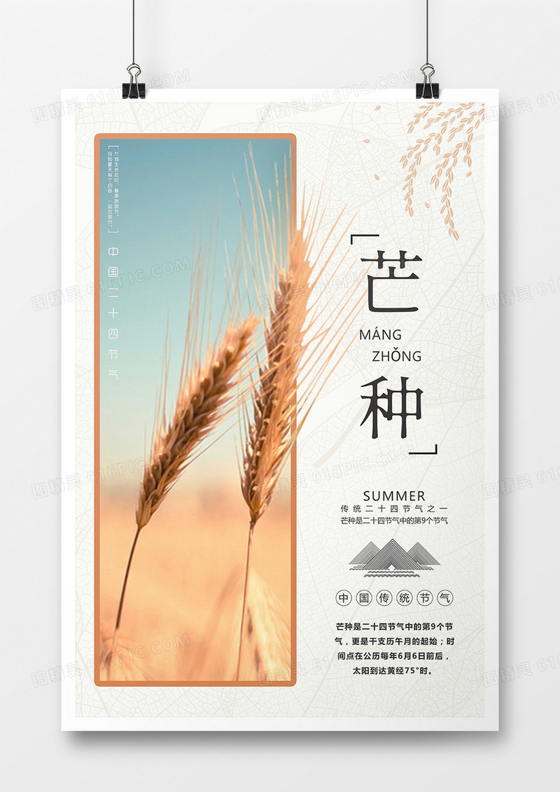传统二十四节气之芒种海报模板