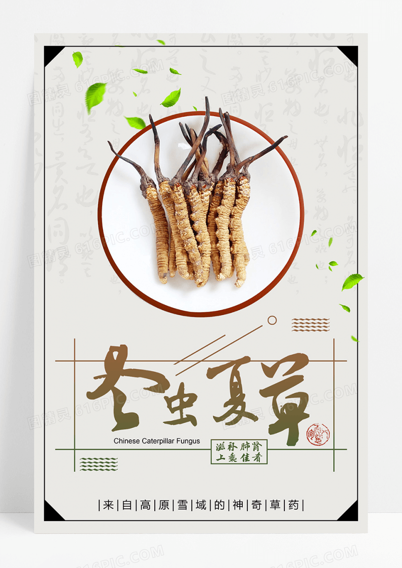 中医药文化冬虫夏草海报虫草中药海报