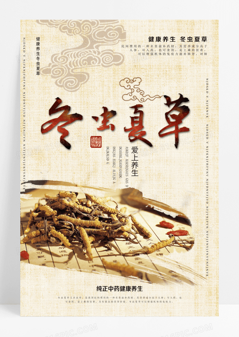 中国风简约冬虫夏草宣传海报设计