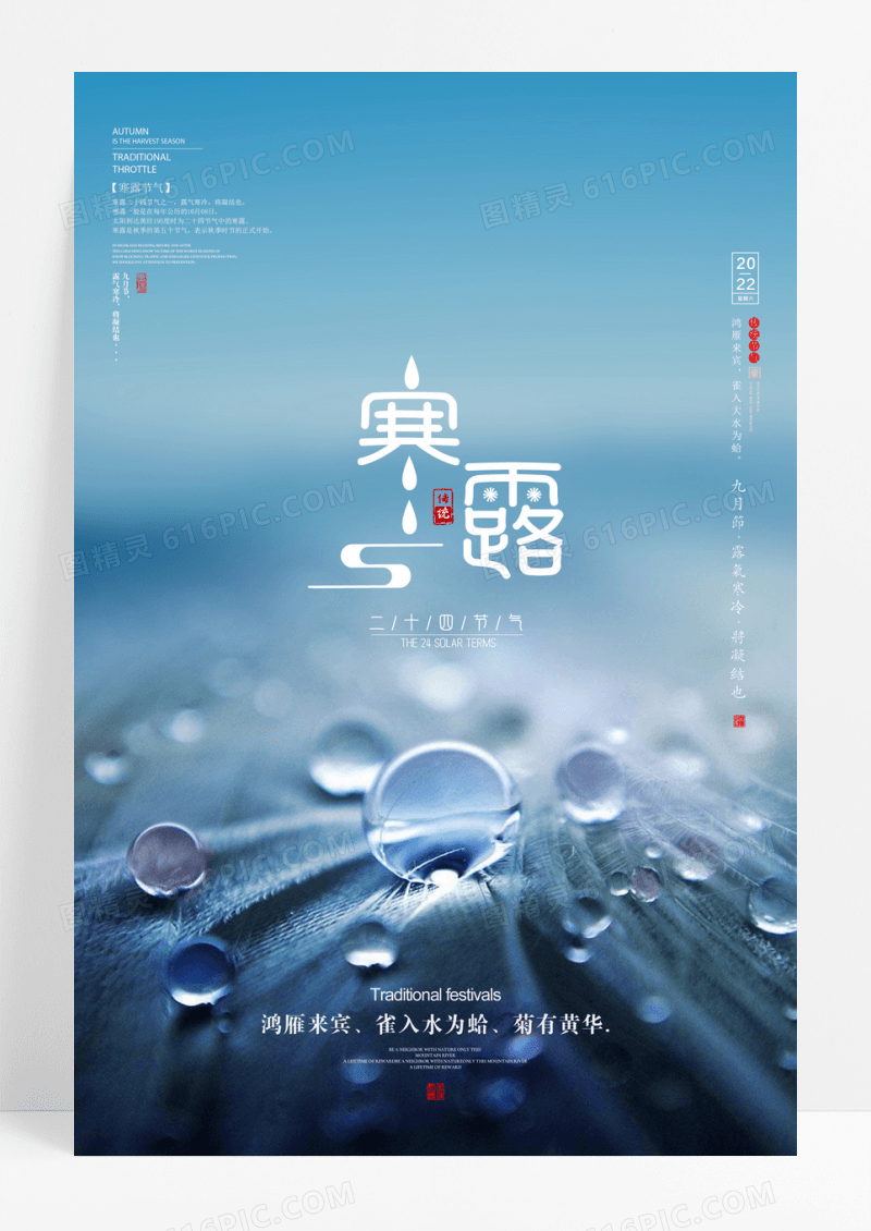 简约寒露24节气宣传海报