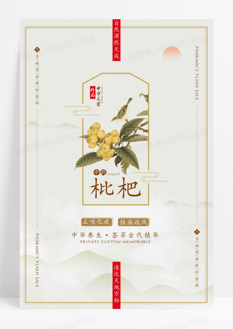 中式枇杷中医养生海报