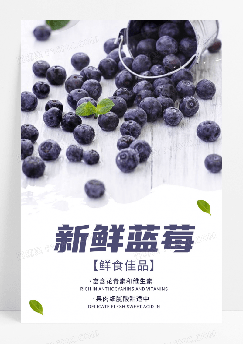 新鲜蓝莓美食海报