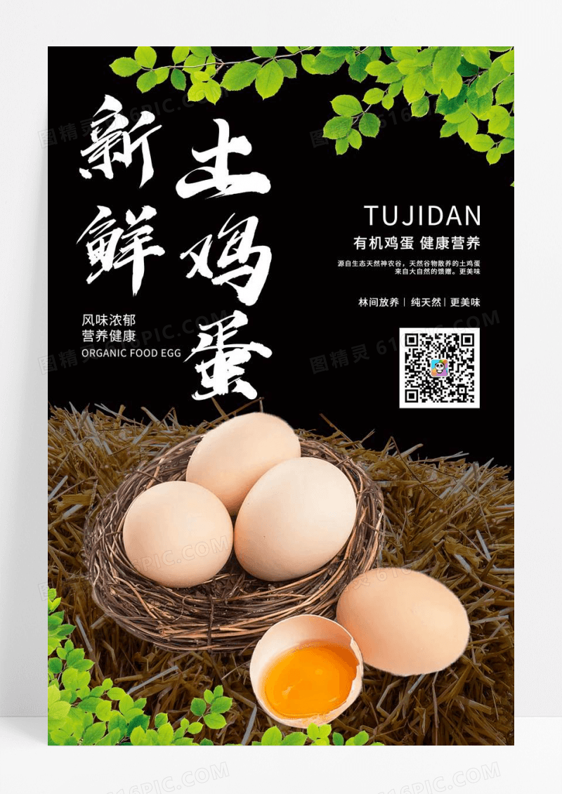 新鲜自然有机土鸡蛋食品宣传海报