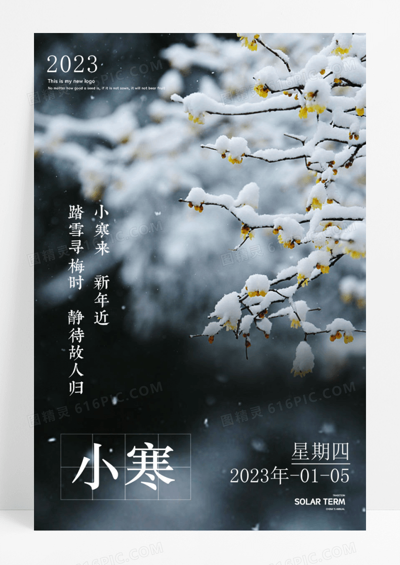 创意冰晶二十四节气小寒节气海报