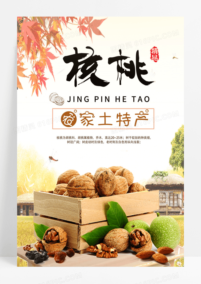 摄影简洁核桃农家土特产海报