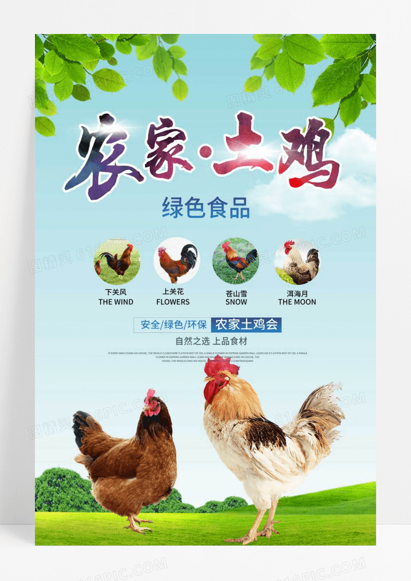 农家土鸡绿色食品创意海报