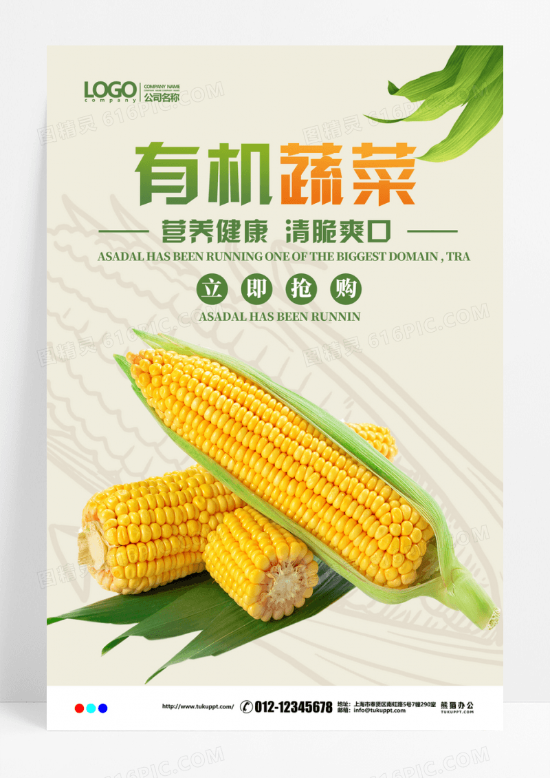 小清新有机蔬菜营养健康宣传海报