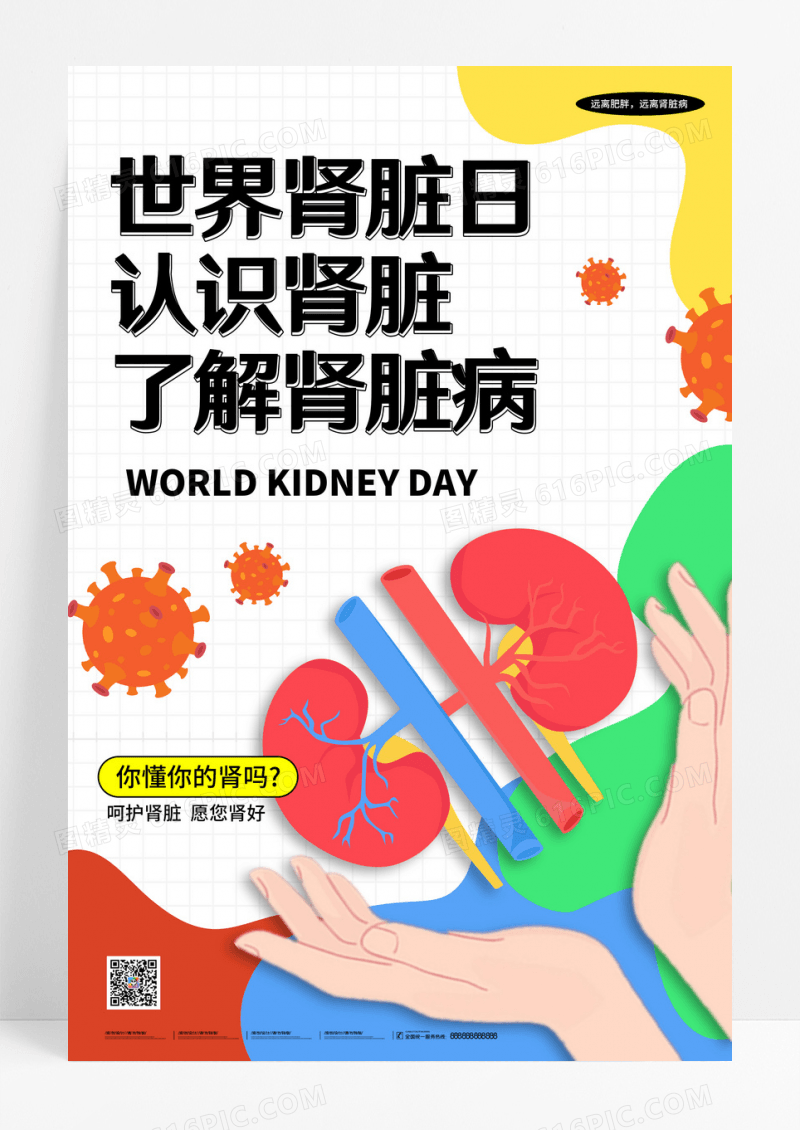 简约世界肾脏日主题宣传海报