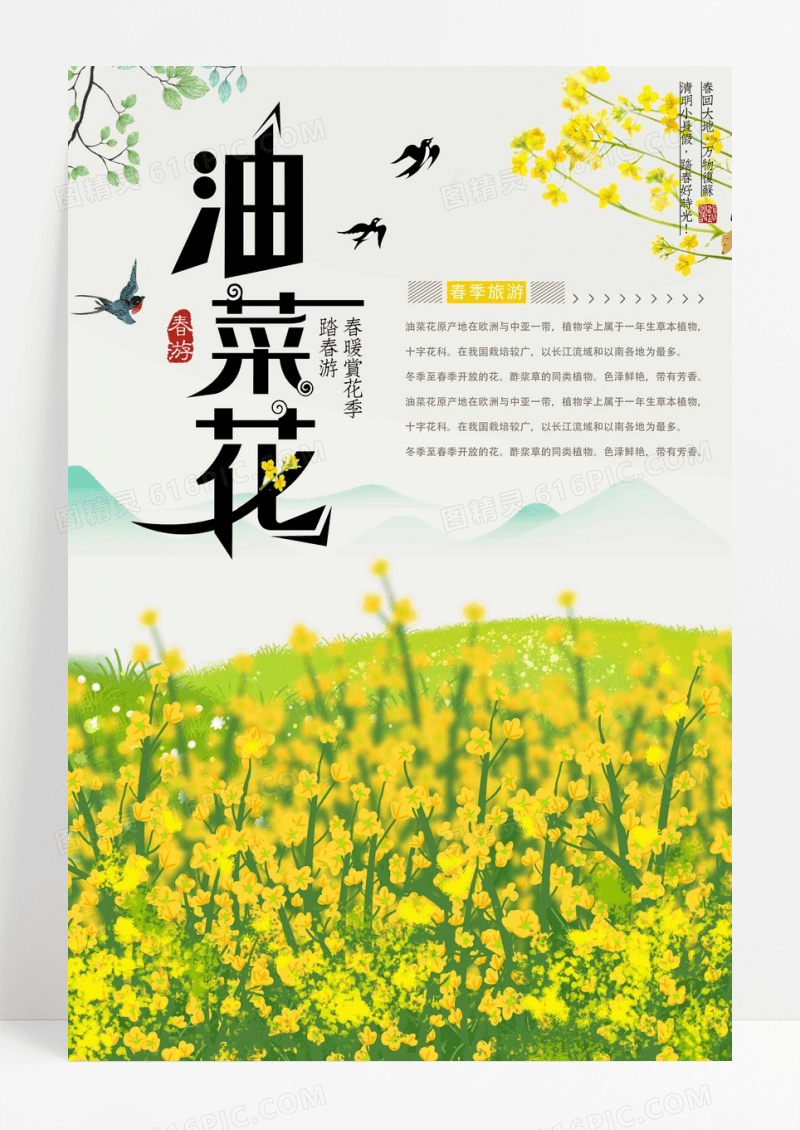 油菜花旅游节宣传海报