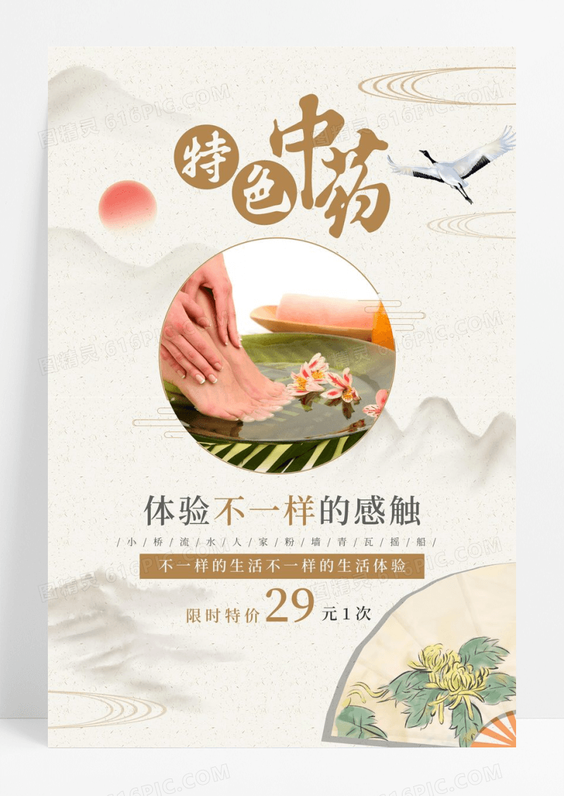中国风养生特色中医药浴宣传海报