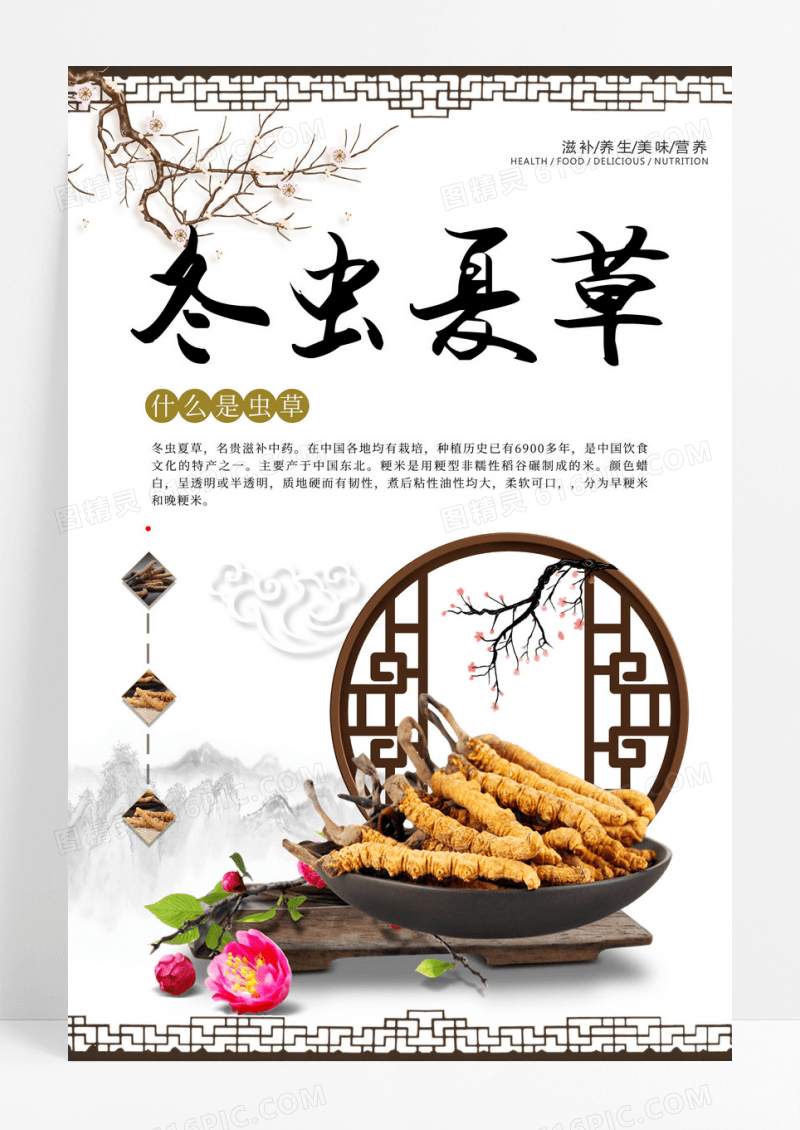 中国风中药文化冬虫夏草促销海报设计
