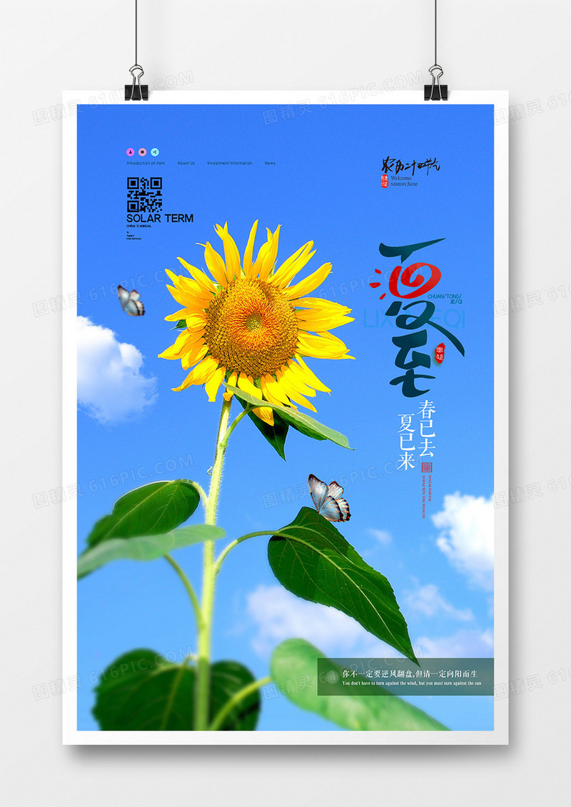 简洁摄影图合成二十四节气夏至创意海报