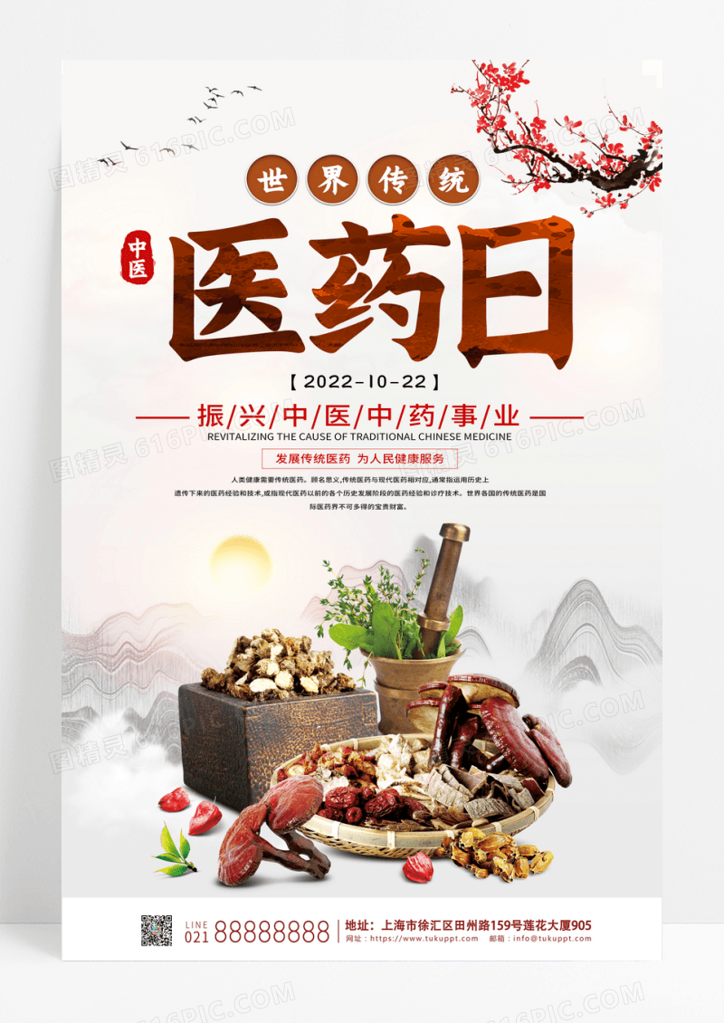 中国风世界传统医药日宣传海报