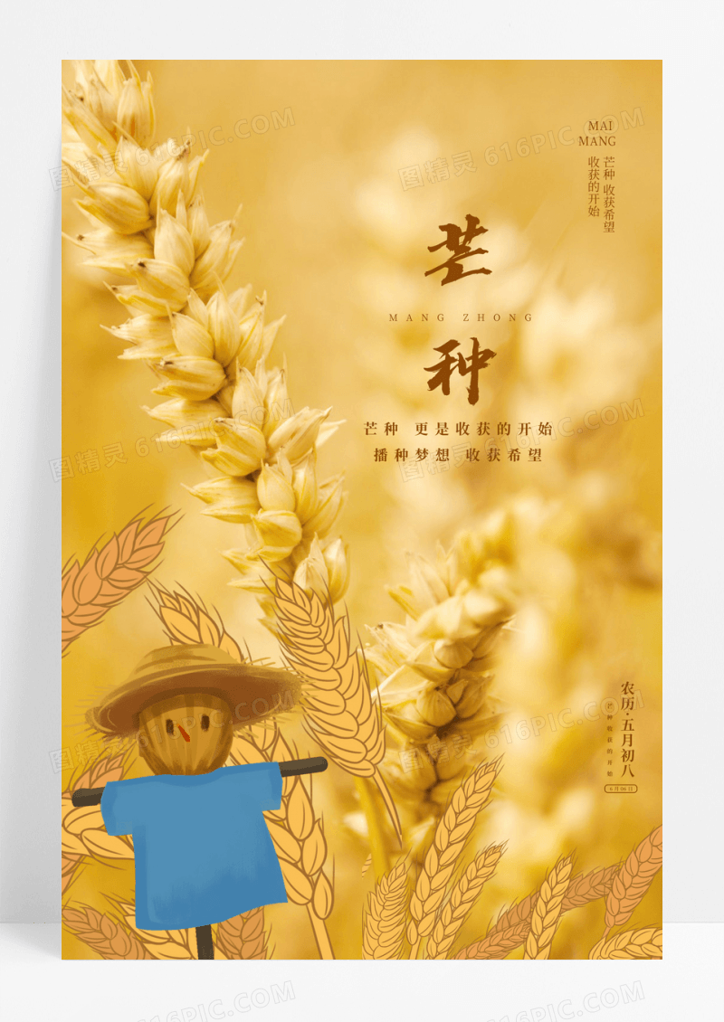 唯美芒种二十四节气宣传海报