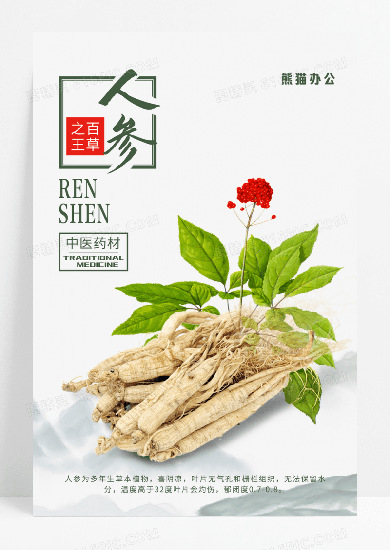 简约中国风中医药材人参海报