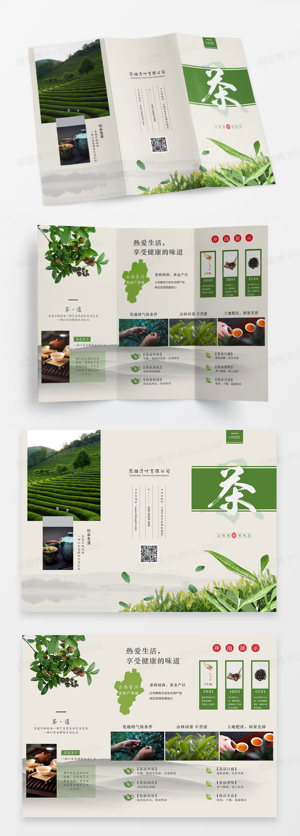 绿色清新茶叶茶文化三折页