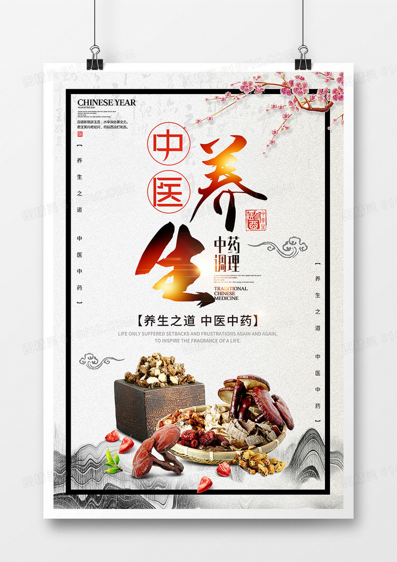 中国风中医养生宣传海报