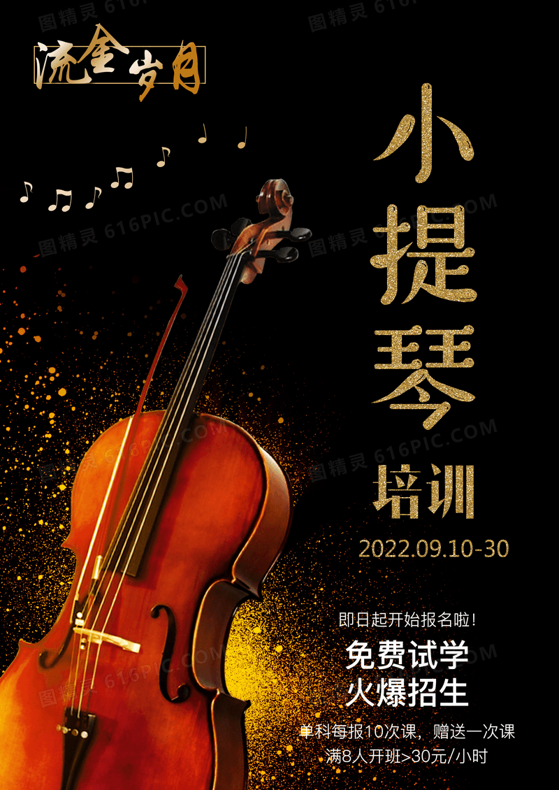黑色小提琴培训音乐培训宣传海报