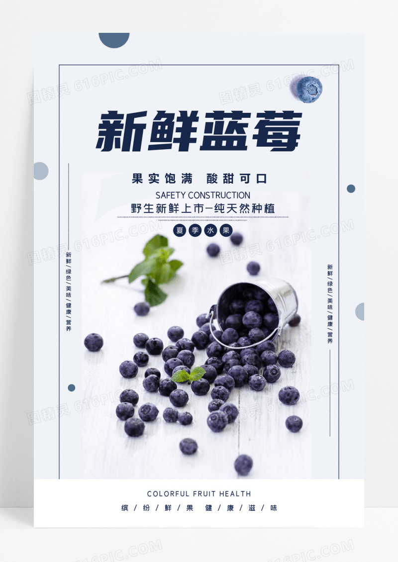 野生新鲜蓝莓上市海报