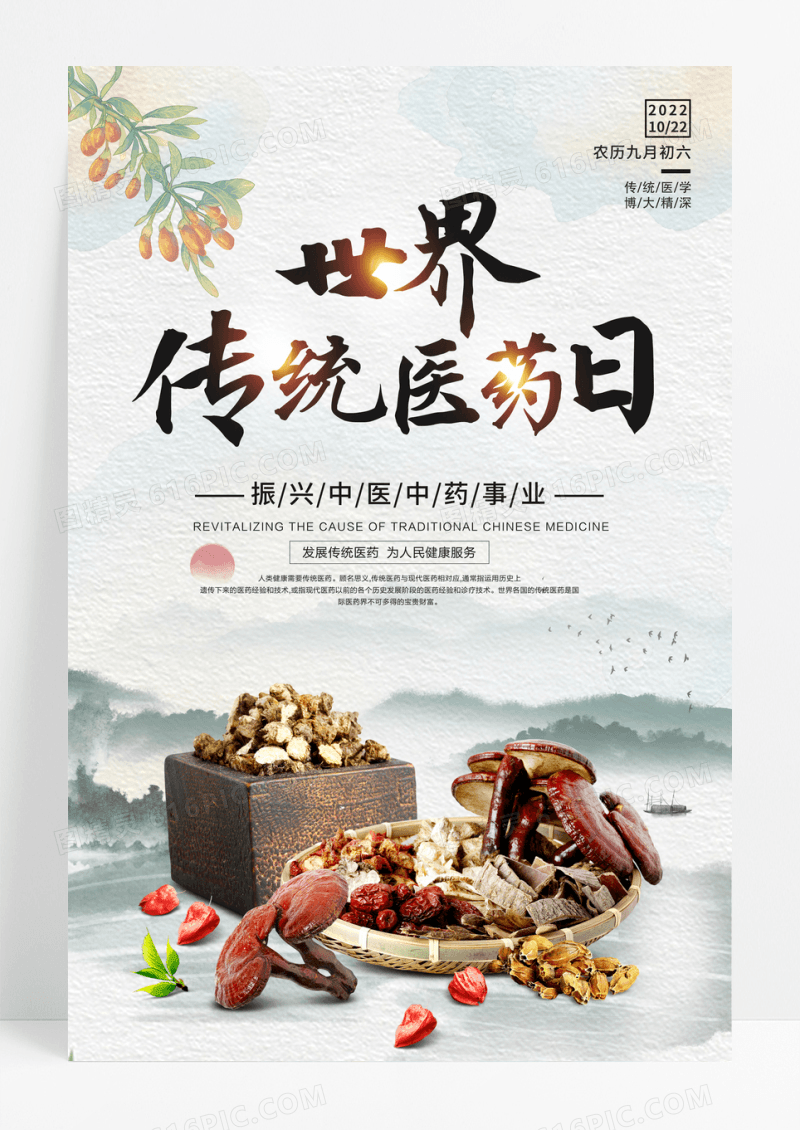 简约中国风世界传统医药日宣传海报