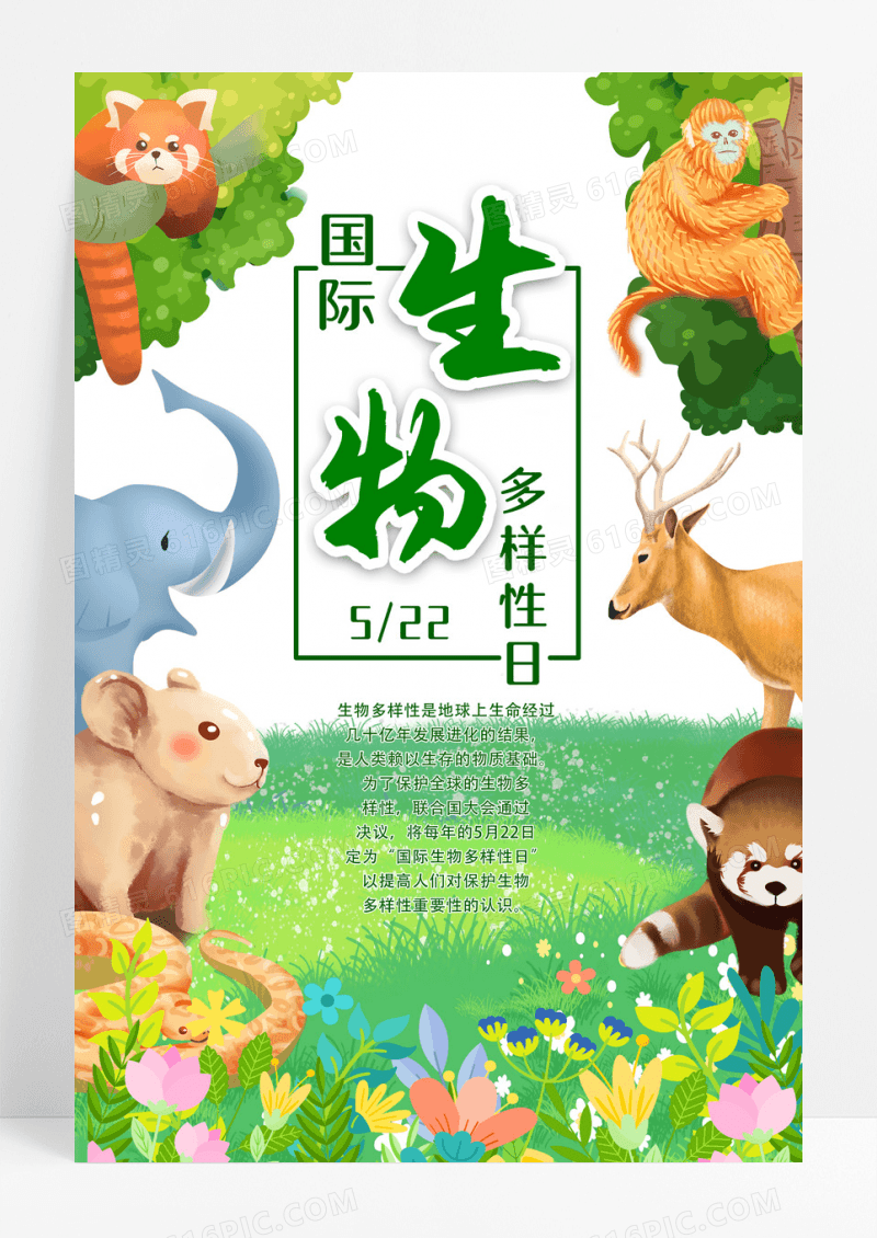 简约插画国际生物多样性日522保护地球海报设计