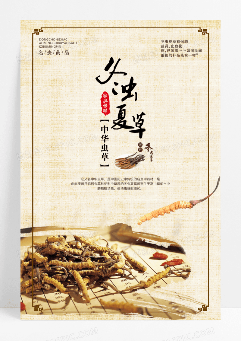 简约中药文化冬虫夏草促销海报设计