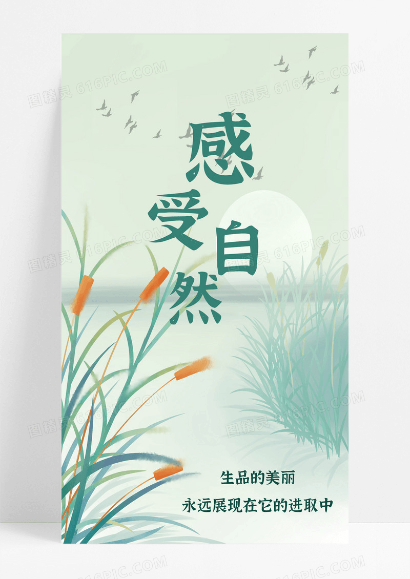 感受自然手机海报