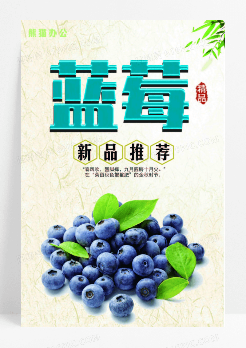 清新新鲜蓝莓宣传海报设计