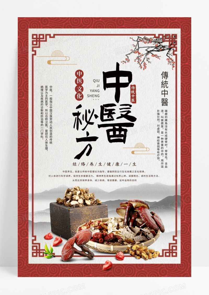 中国风中医养生中医文化宣传海报