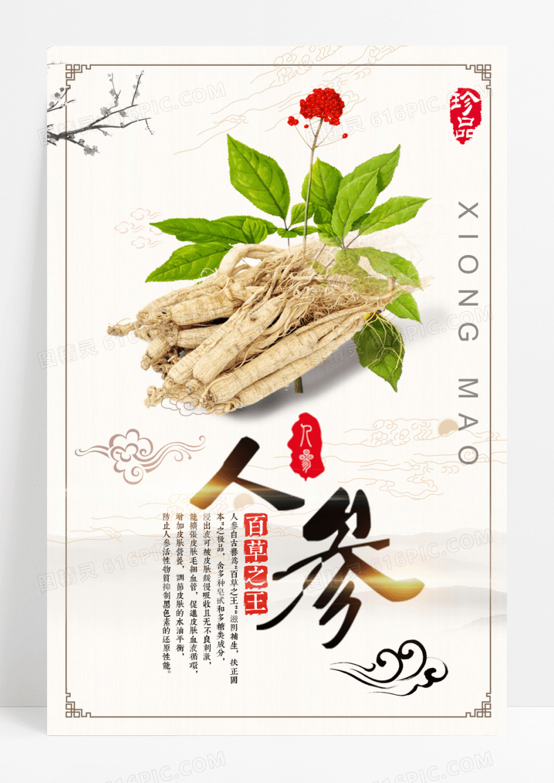 中医药人参宣传海报