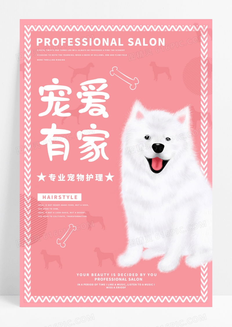 宠爱有家宠物店萌狗海报