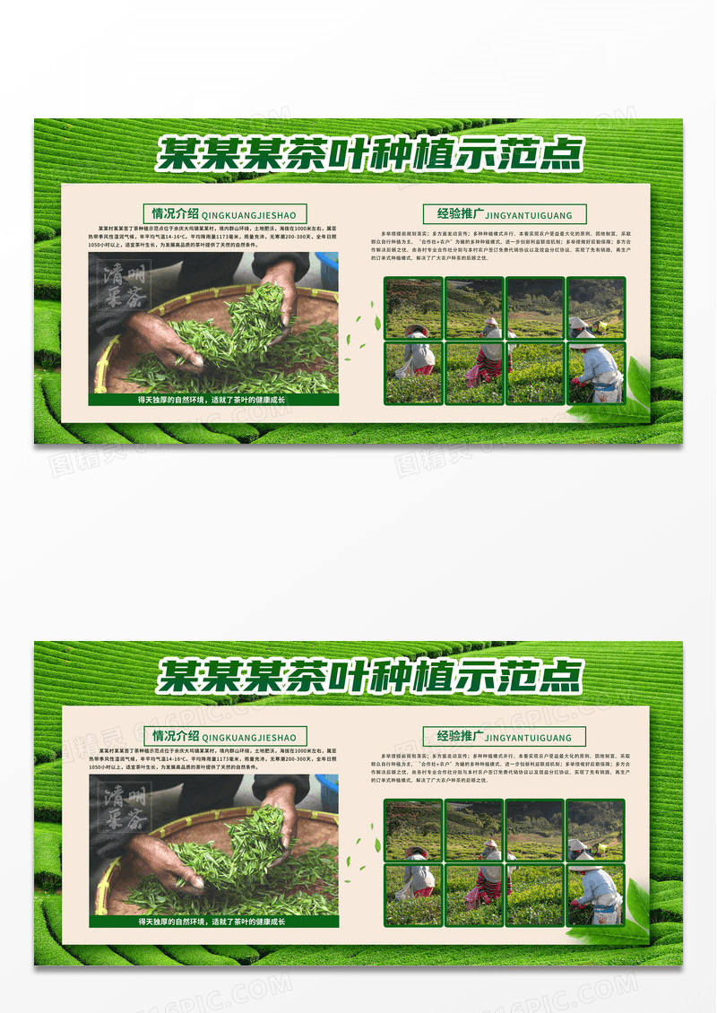 绿色清新简约茶叶种植示范点农业宣传展板宣传栏设计