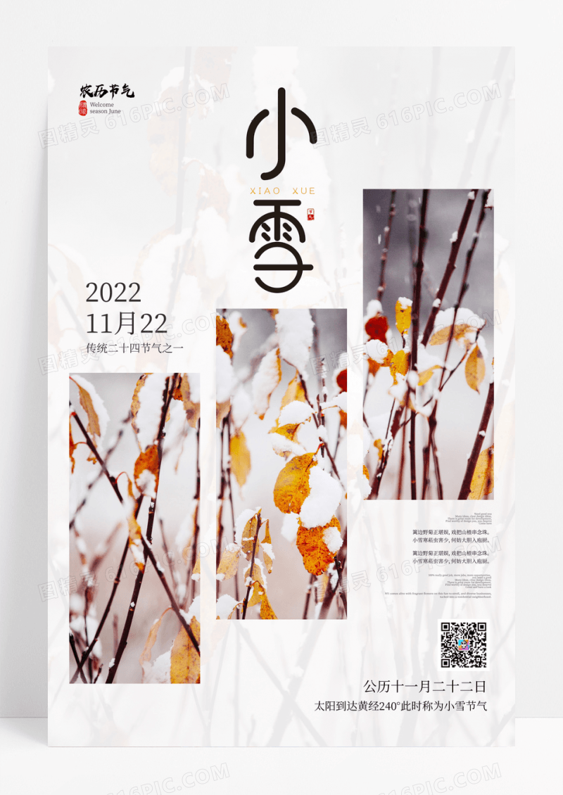 简约雪景摄影图24节气小雪节气海报