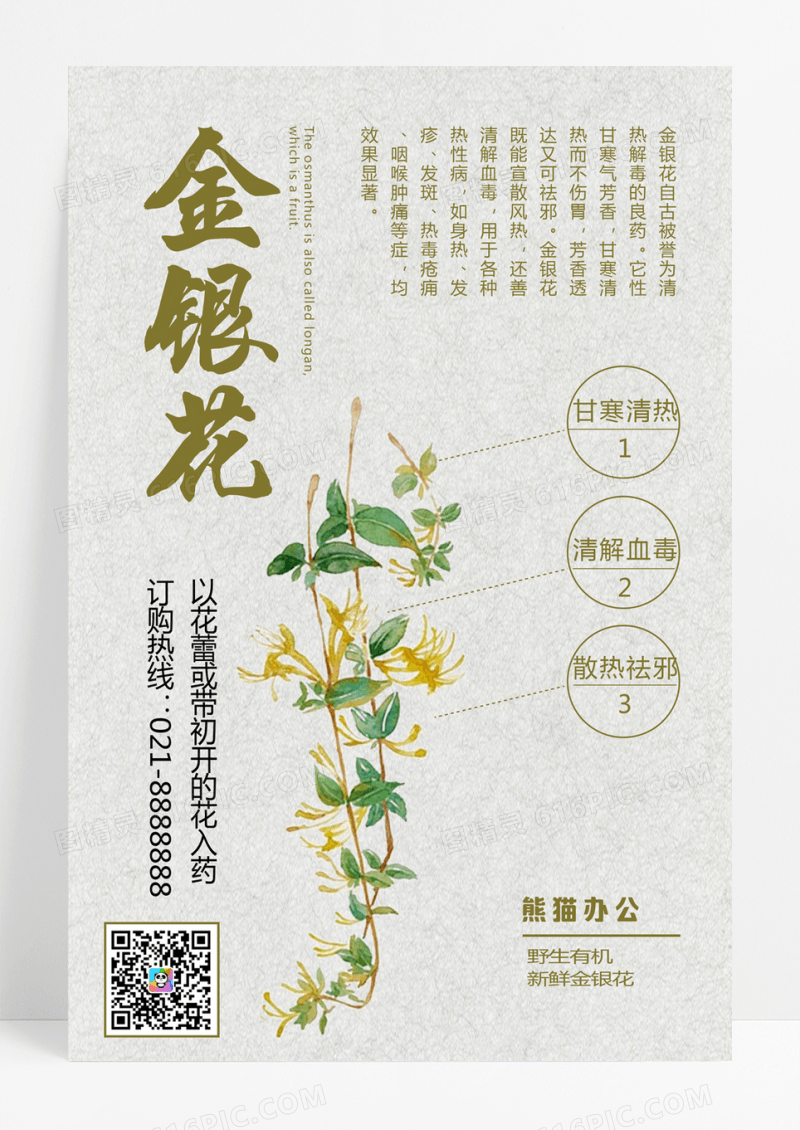 简约小清新药品金银花海报