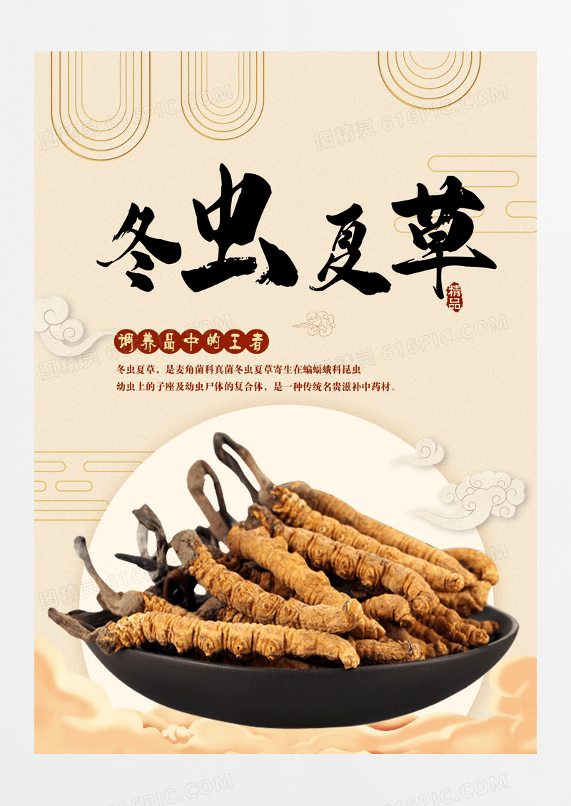 中国风冬虫夏草养生食疗海报