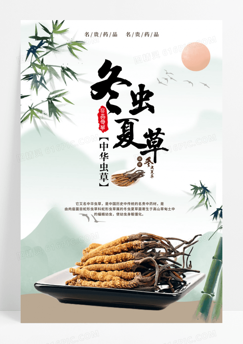 中国风中药文化冬虫夏草海报设计