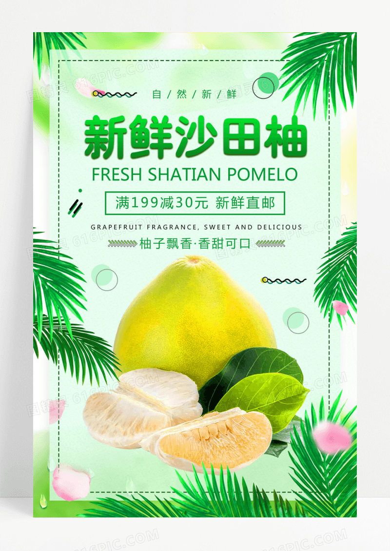 热带植物绿色清新简约秋季水果新鲜沙田柚海报柚子秋天水果