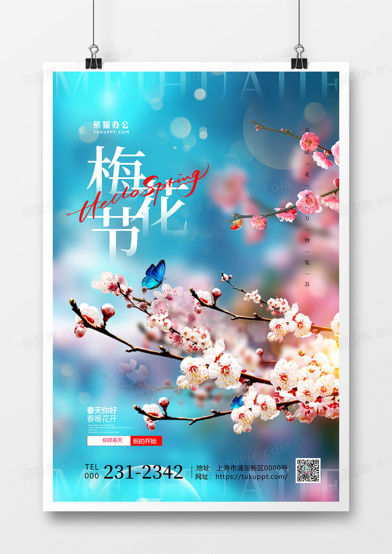 蓝色梦幻春季春天旅游梅花节海报