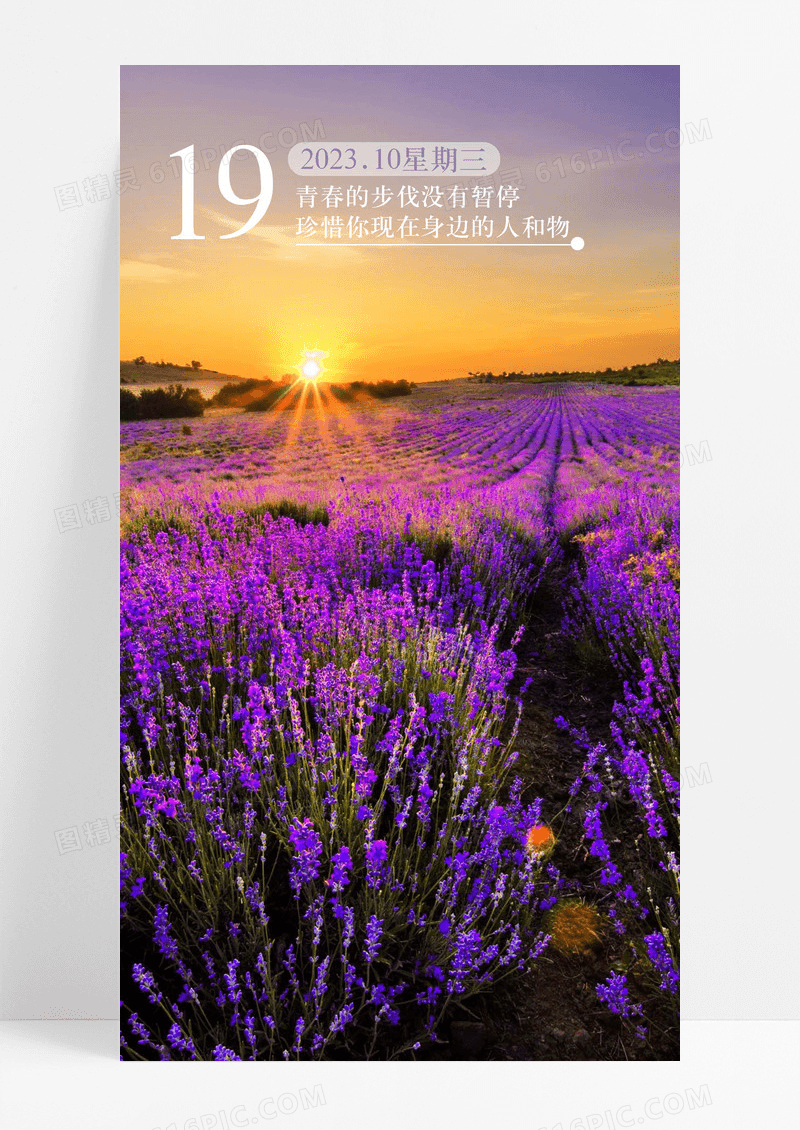 心情日签薰衣草手机海报配图图片