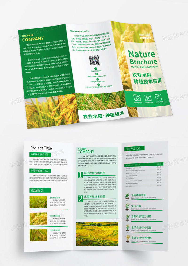 绿色小清新农业水稻种植技术宣传三折页